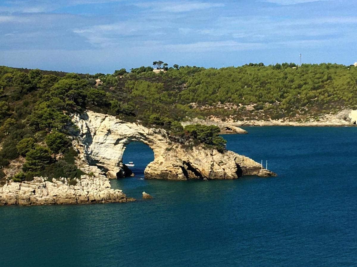 Alloggio Vieste Centro - Dizzy Studio Home ภายนอก รูปภาพ